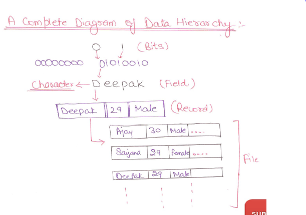 data-hierarchy