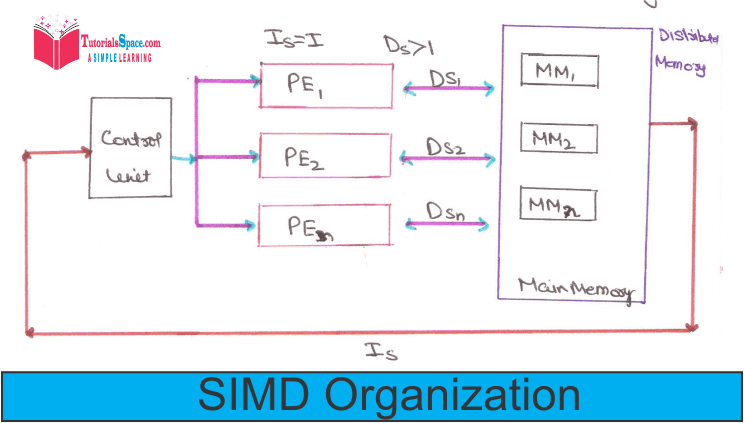 SIMD Organization