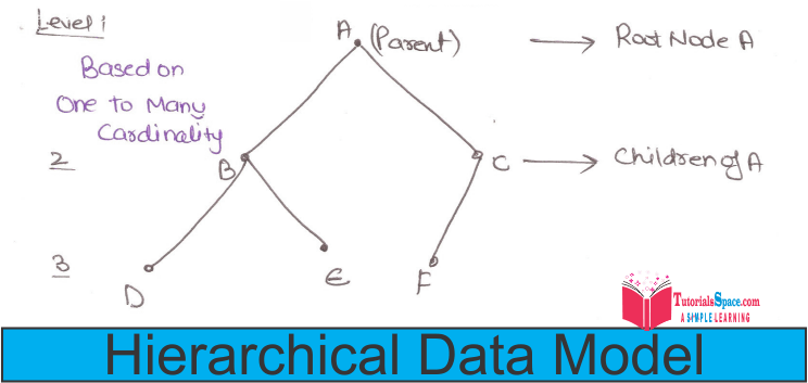 database System