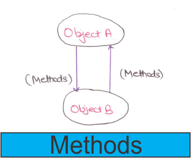 database System