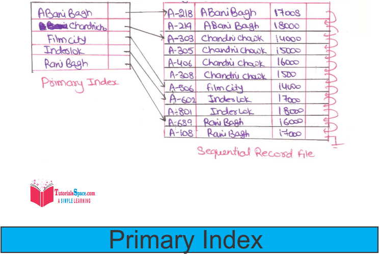 Primary index