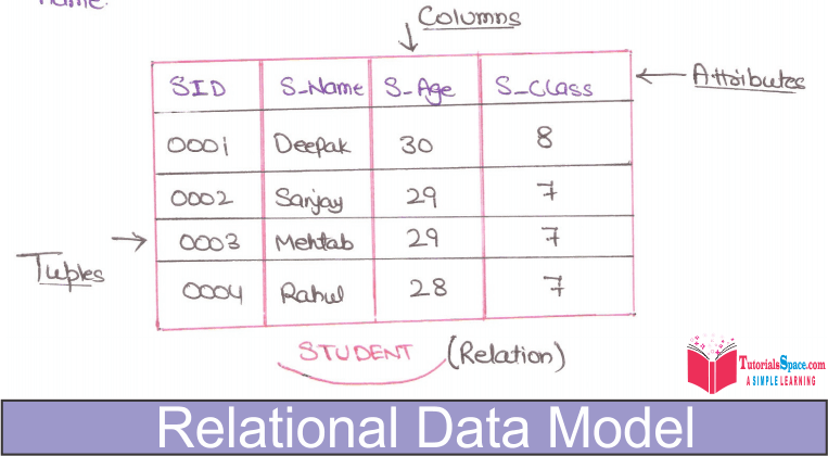 database System