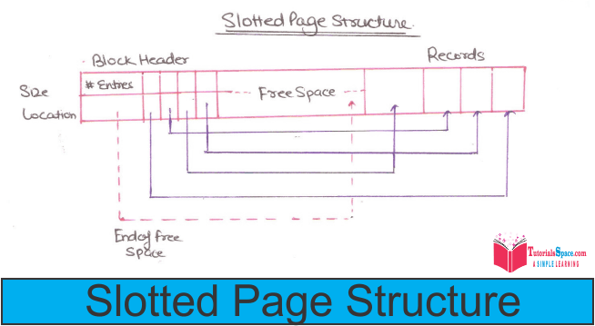 Slotted Page