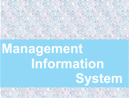 Management-Information-System